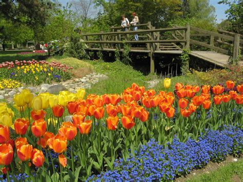 Fête de la Tulipe 